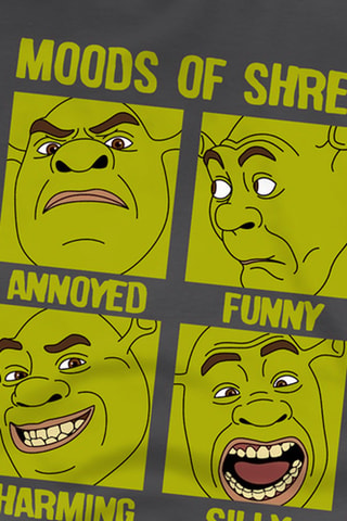 T-shirt Shrek DreamWorks Animation - Gris foncé