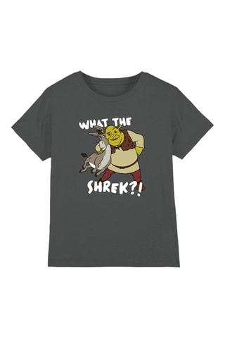T-shirt Shrek et L'Âne Shrek DreamWorks Animation - Gris foncé