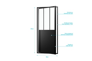 Paroi porte de douche pivotante en verre trempé Fabrik 80 x 0,8 x 200 cm