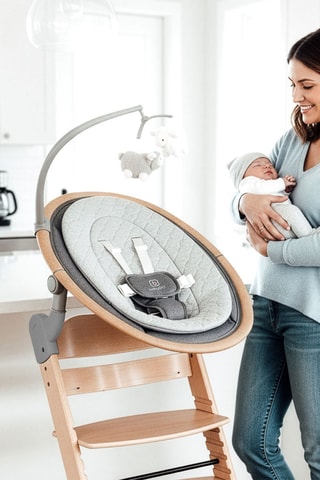 Chaise haute Family Pro avec harnais et adaptateur - A partir de 36 mois - Jusqu'à  75 kg