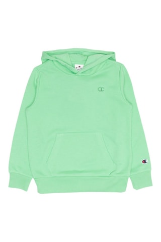 Sweat à capuche - Vert - Bleu et vert