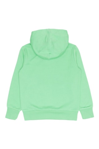 Sweat à capuche - Vert - Bleu et vert