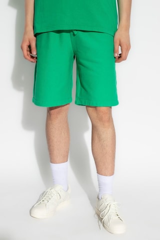 Bermuda - Vert - Vert