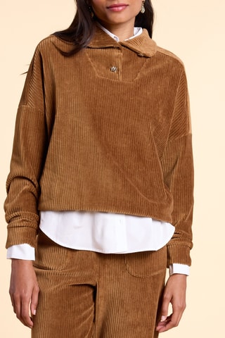 Sweat en velours - Camel