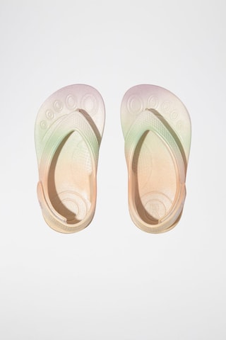 Sandalias - Beige y verde
