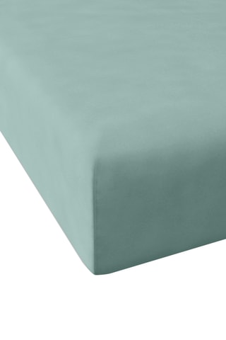 Drap-housse en coton 57 fils/cm² Casual - Vert d'eau