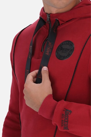 Sudadera con capucha - Burdeos