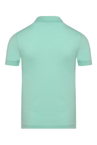 Polo - Verde