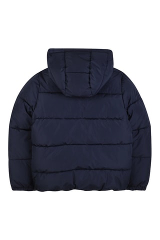 Doudoune à capuche - Bleu marine - Boss