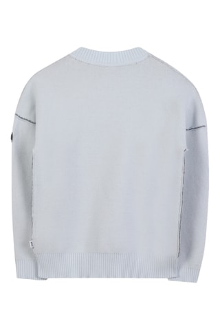 Pull - Bleu  - Boss