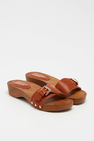 Mules - Camel 