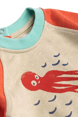 Sweat - 6 mois - Multicolore
