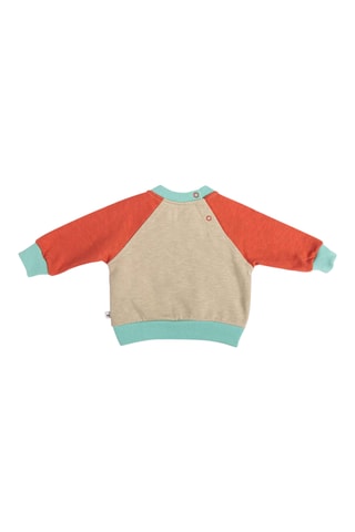 Sweat - 6 mois - Multicolore