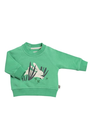 Sweat - 6 mois - Vert