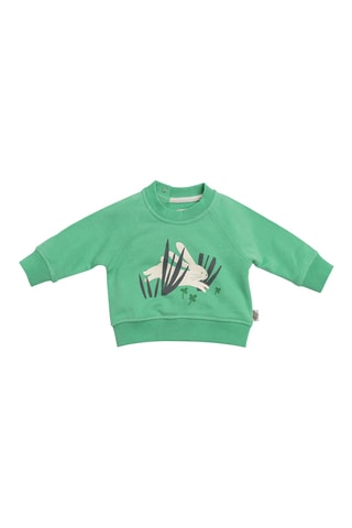 Sweat - 6 mois - Vert