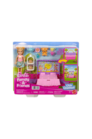 Set Barbie Chelsea Picknick - 12-delig - Vanaf 3 Jaar Willekeurig Model