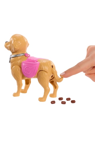 Barbie Promenade- en Benodigdhedenset - 15-delig - Vanaf 3 Jaar Willekeurig Model