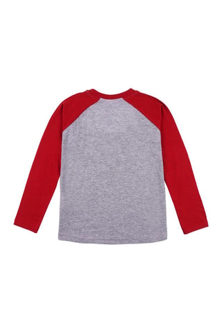 T-shirt Grifondoro Harry Potter - Rosso e grigio