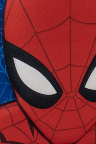 Borsa termica Spiderman DC Comics - Blu