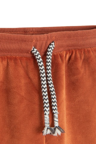 Jogging en velours - Camel