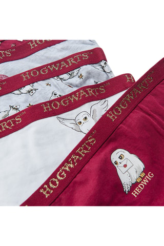 5 slips Harry Potter - Bordeaux