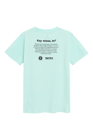 T-shirt - Verde acqua
