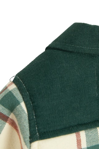 Veste - Ecru et vert foncé
