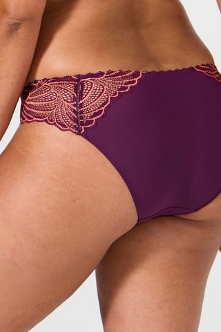Culotte Pampelune Harmony - Bordeaux