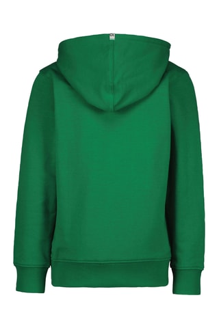Felpa con cappuccio - Verde