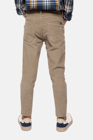 Pantaloni in velluto - Taupe