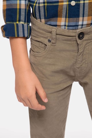 Pantaloni in velluto - Taupe