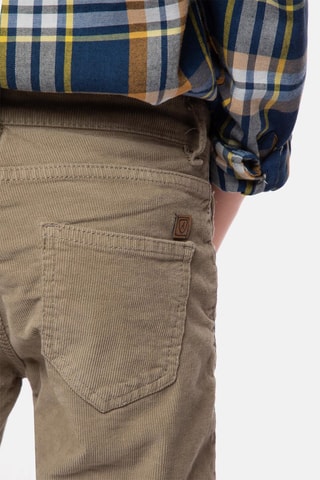Pantaloni in velluto - Taupe