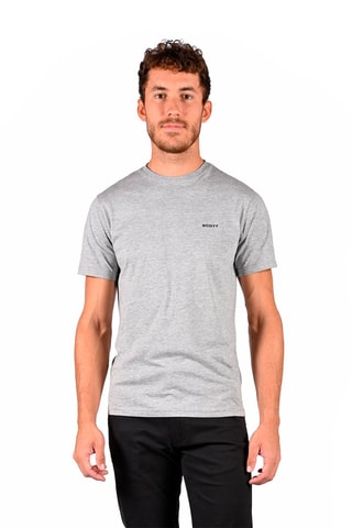 2 camisetas - Gris