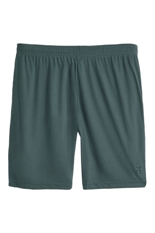 Bermuda - Verde scuro