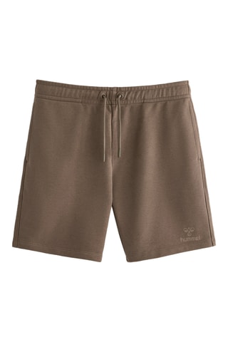Bermuda - Marrone