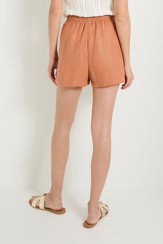 Shorts - Salmone