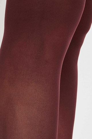 Collant - 40 denari - Bordeaux