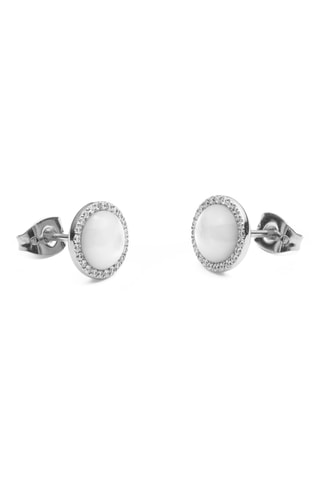 Puces - Nacre et zircons