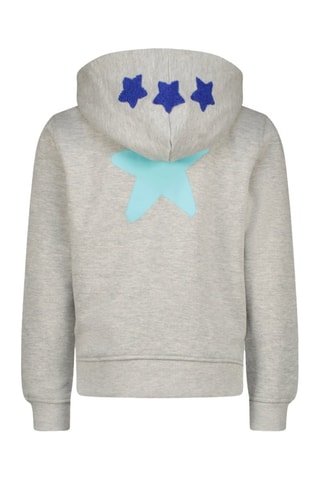 Sweat à capuche - Gris chiné