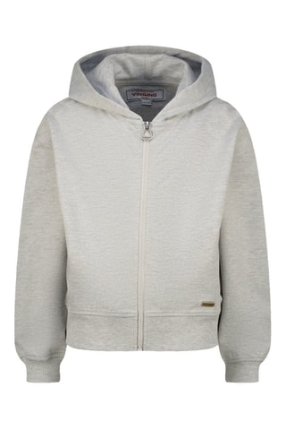 Sweat à capuche - Gris