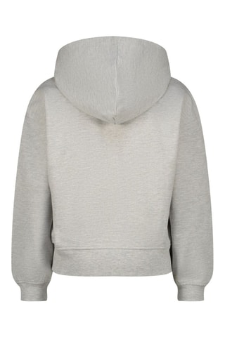 Sweat à capuche - Gris