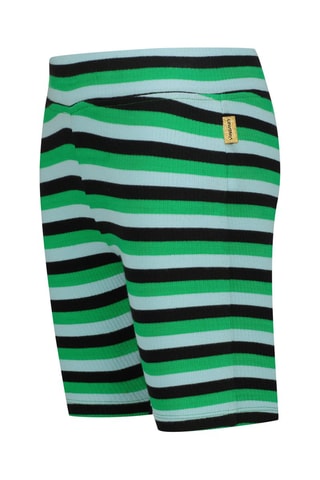 Cycliste - Vert et noir