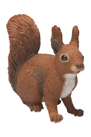 Ardilla Wild Life - Desde 3 años