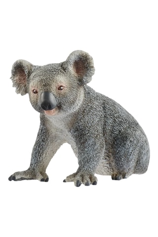 Koala Wild Life - Desde 3 años