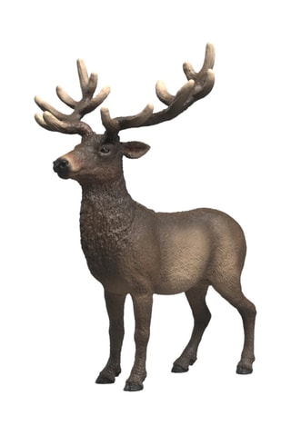 Alce de América Wild Life - Desde 3 años