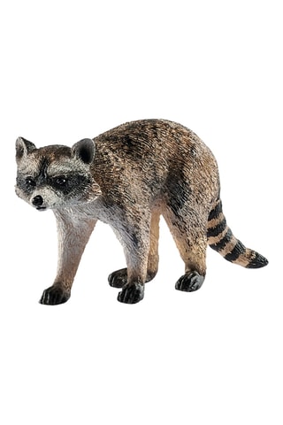 Mapache Wild Life - Desde 3 años
