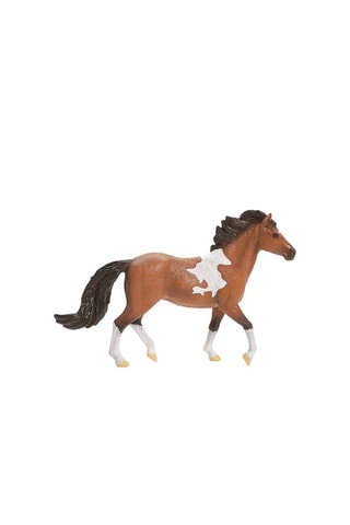 Semental Mangalarga Marchador Horse Club - Desde 5 años