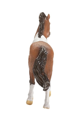 Semental Mangalarga Marchador Horse Club - Desde 5 años