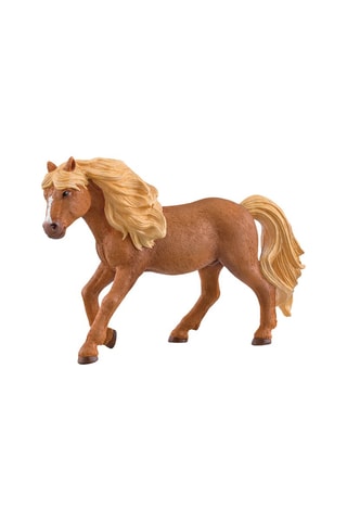 Semental islandés Horse Club - Desde 5 años