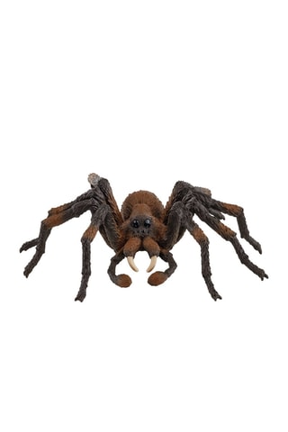 Aragog Harry Potter - De 6 a 12 años